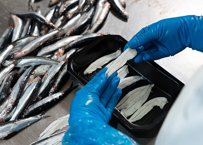 Comprar boquerones en vinagre 4 Fábrica de boquerones en vinagre