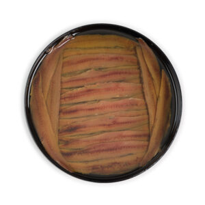 anchoa-salazon-cantabrico-350gr